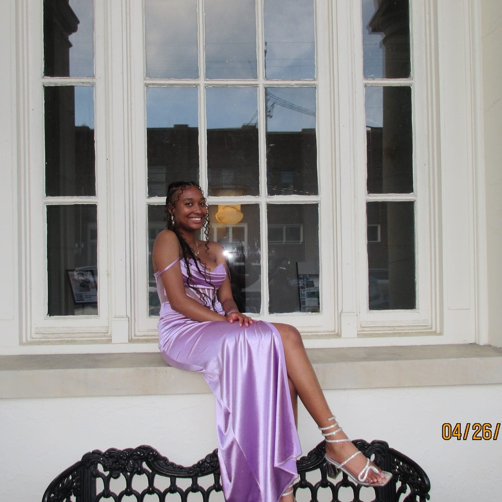 Elegant Lavender Evening Gown (View All Photos)